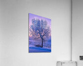 Hoar frost Sunrise  Acrylic Print