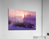 Hoar frost Sunrise  Acrylic Print