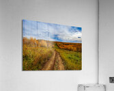 Fall Quad Path  Acrylic Print