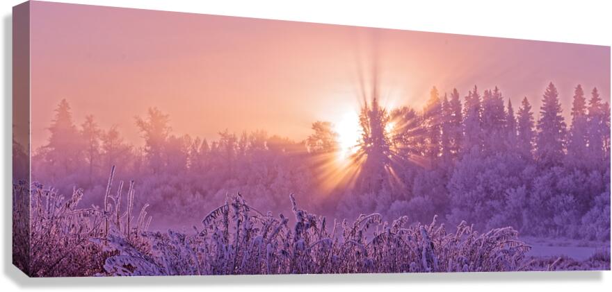 Hoar frost Sunrise  Canvas Print