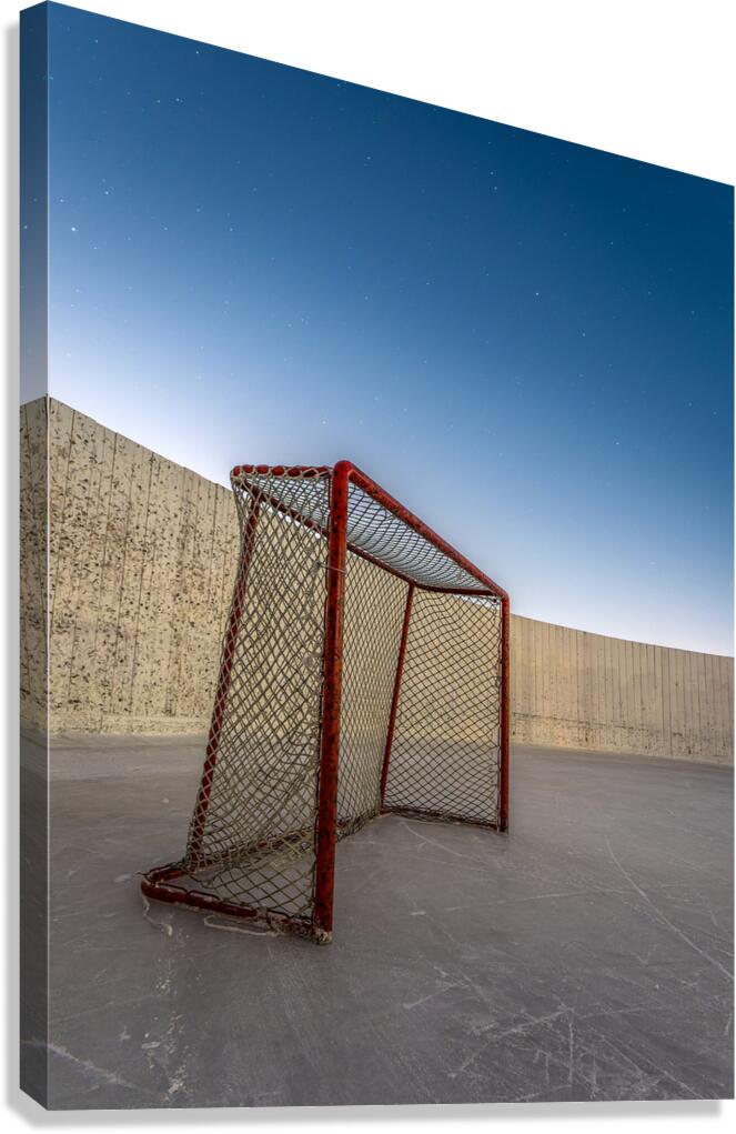 Cold Empty Net  Canvas Print