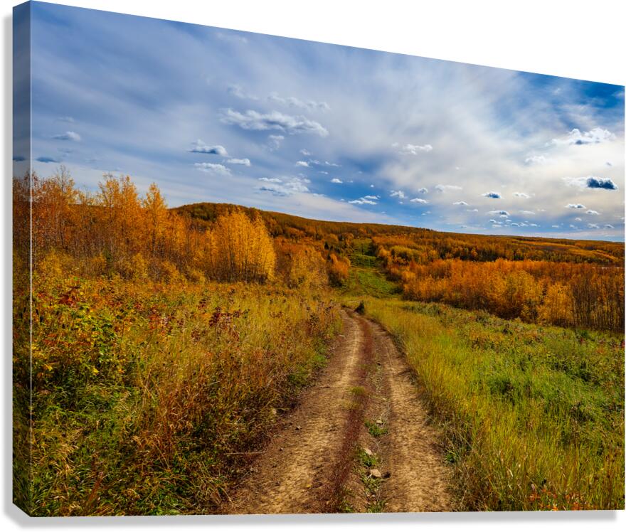 Fall Quad Path  Canvas Print