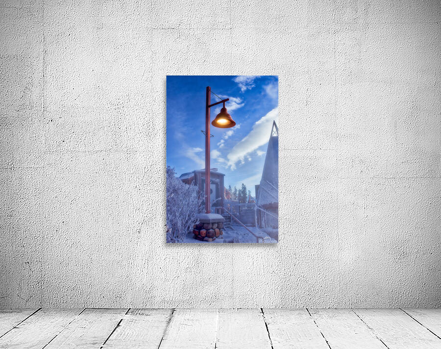Frosty Lamp Post by Darcy Michaelchuk